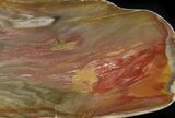 Polished, Jurassic Petrified Wood (Conifer) - Australia #41894-1